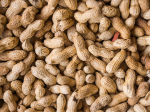 �������ųԸ���ѧ �����˲��˳Ի���