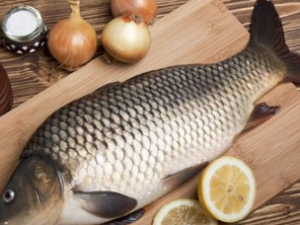 ʧ�ߵĵ������� ����ʧ�ߵ�ƫ���Ƽ�