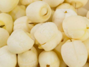 ��Ѫ����������Щ ��������