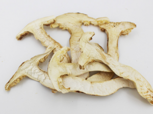 ��������ô�ݷ� ���������ѡ