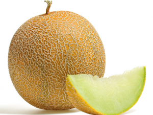 ���ܹϻ������ϻ���