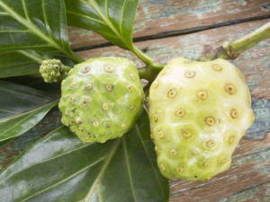 �����Ĺ�Ч���� ������Ӫ����ֵ