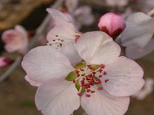 ���������������е�����