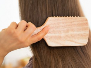 ������ʳ�����Ľ��� ������������Ҫ����