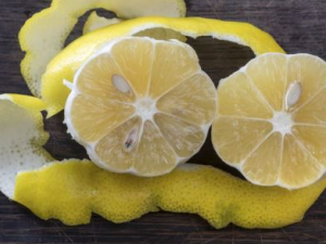 ������������ЩС��ʶ��Ҫע�� ��֪����