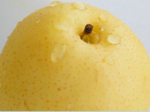 �＾����ĺô� �＾����ɱ������彡��