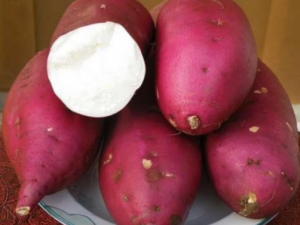 ��������������ͬʳ ��������ʳ����