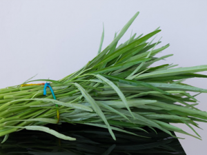 ���Ĳ�ʳ�ý��� ���Ĳ˵ĳ�������