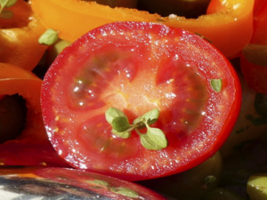 ��ʳ�������ô���� һ����������