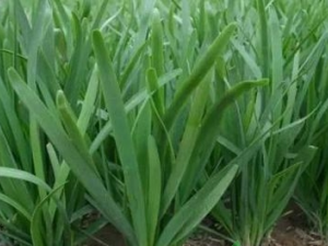 �Ծ²˵Ľ�������Щ �²˿��Լ�ľ����