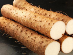 �������ɸ�Ӫ���� ����ά������֬����