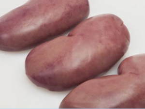 Ϊʲô��ĦӿȪѨ�ܹ���������