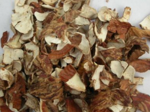 Ƥ֪βƫ һ𿴿ͬƤĹЧ