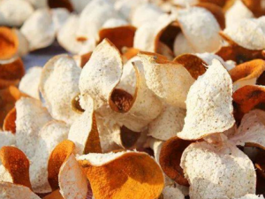 �����Ա��׵�����ƫ�� �����Ա�����ô����