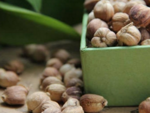 ��ޢ�ʵĹ�Ч���� ��ޢ�ʵ�ҩ�ü�ֵ