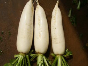 �԰��ܲ��ĺô� ʲô�˲��ʺϳ԰��ܲ�