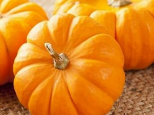 �Ϲ���ô�� �Ϲ���ô���źó���