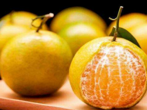 ���Ӽ��ܲ� �����г���������ʳ����һ����������