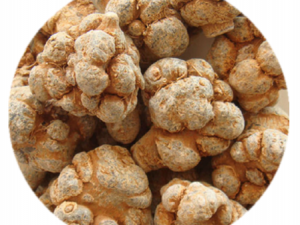 ��������Щ��Ч ���ߵĿɲ�Ѫ��Ѫ