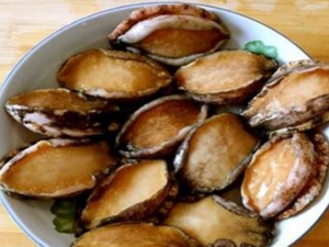 ���������ô�� �����Ӫ����Ч