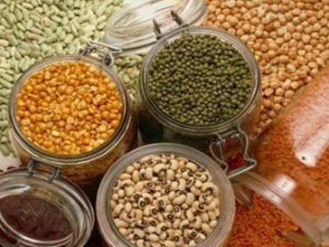 ��Ż��������ô���� ��Ż�������������