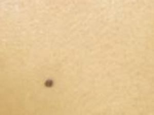 ��ɫ�����������ʳ �к�ɫ����������ʳ����