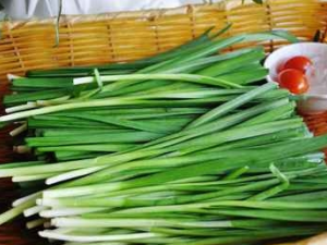 �Ҹλ��ߵ���ʳ���� һ����������