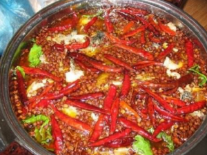 �����ʳ����˺����� ��֪��������Щ��