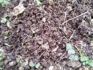 ��ҩ����ô���òź� ��ҩ����α��Ϊ��