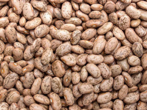 �ļ���ͯҪ�ٳ����ֶ� ��֪��ԭ����