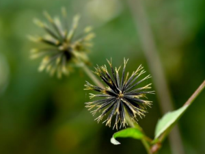 ����ݵĹ�Ч���� �������ˮ�ȵĹ�Ч