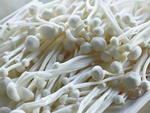 ���빽����Щ��Ч ���빽��Ӫ����ֵ