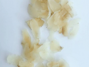 �ٺ�����Щ��Ч ���˰ٺϵĺô�