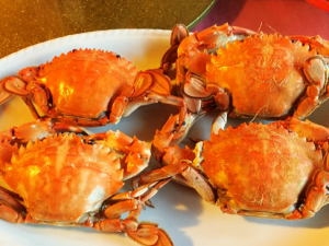 ʯз�Ĺ�Ч ʯз�Ĺ�������