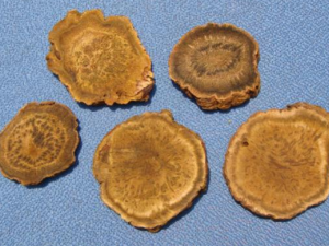 к��ɢ����Ҫ�ɷ� к��ɢ�Ĺ�Ч