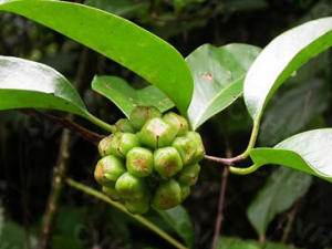 ���ϻ�����Щ��Ч ���ϻ��Ĺ�������