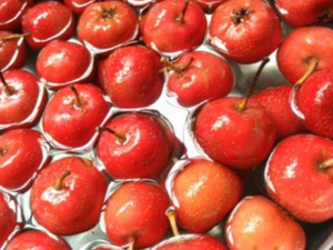 ɽ髵ĳԷ� ɽ���ô�ԲŸ�����