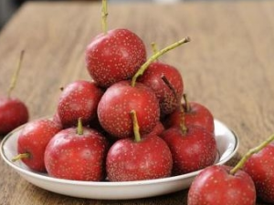 θ���õ����������ʳ ɽ髿�θ���½�ʯ