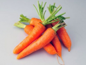 �ﶬ���������ʳ�ź� �ﶬ�������ʳ����