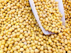 ����Ļƶ��ܷŶ�� ����Ļƶ����ܾ÷�Ŷ