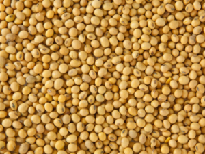 ����άʳ�ﶼ����Щ ����άʳ�������