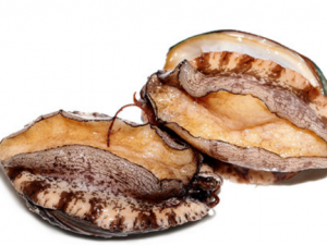 ����������� �����ʳ�÷���