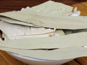 ��Ҷ����Щ���� ��Ҷ�Ĺ�Ч����