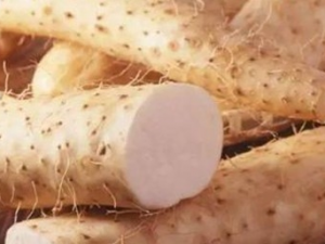 ʲô�˲��ʺϳ�ɽҩ ɽҩ����������Щ