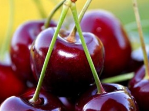 ������θ��ԭ�� ������θ������