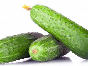 �ƹ����Բ��˹��� �ƹϲ�����������ͬʳ