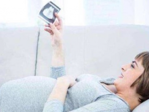 �����׵���ʳ���� һ����������