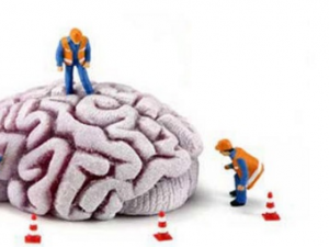 ������˥�˵�ʳ��ƫ�� ������˥�˵���ʳ����