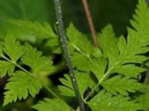 ����۸��Ĺ�Ч���� ����۸����÷�