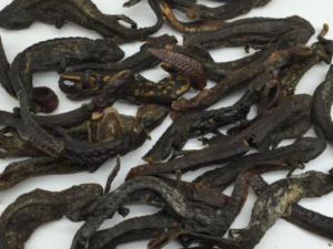 ڹ̽ӹǵ ڹ̽ӹǵĹЧ